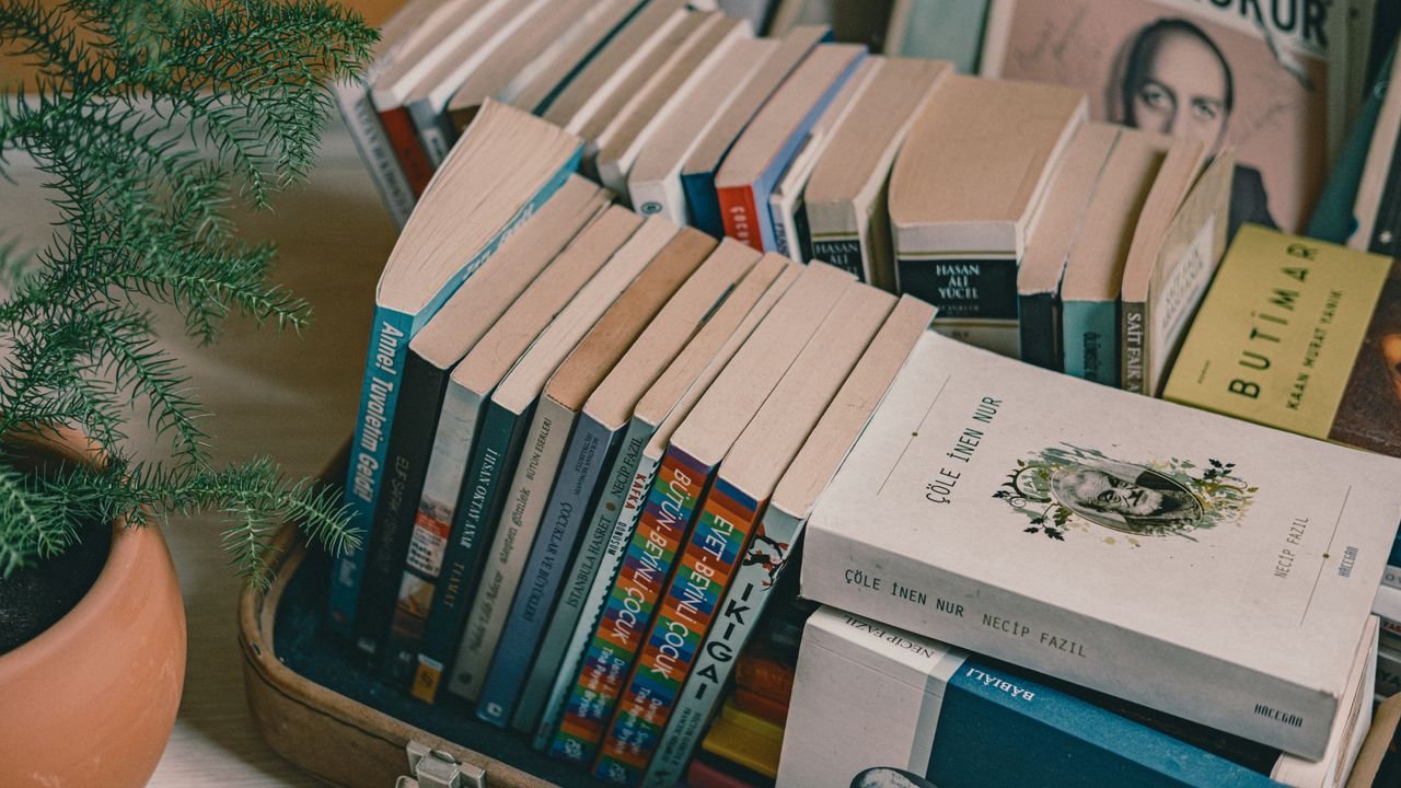 A collection of books neatly arranged in a suitcase next to a potted plant on a wooden table, creating a cozy indoor setting.