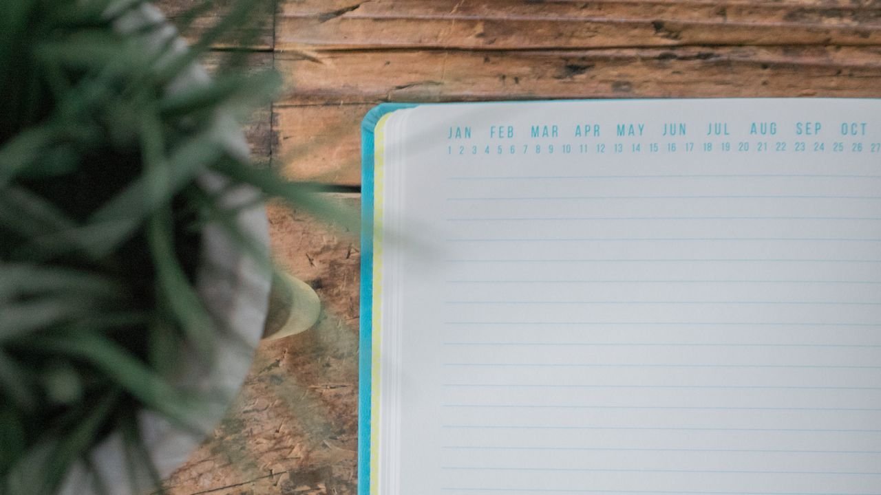Flat lay of an empty notebook on wooden surface with a plant on one side.