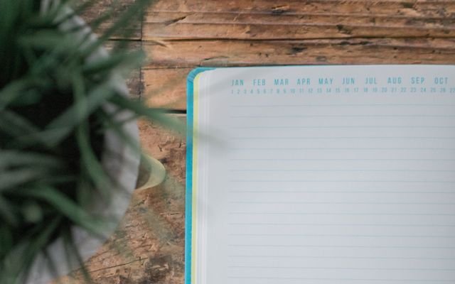 Flat lay of an empty notebook on wooden surface with a plant on one side.